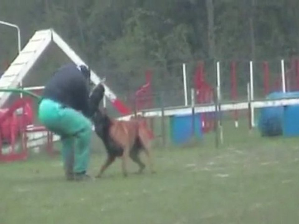 Vulcain VS Dosta II