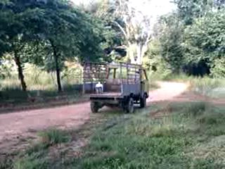 La voiture de l'an 2000 Somnuk elephant camp (Kanchanaburi)