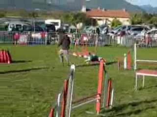 Cruz - GPF Le Pradet