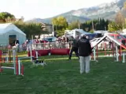 Brownie - Jumping Le Pradet