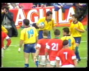 España - Gales 21/05/1994 Parte 8 de 12