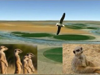 1- EL DESIERTO DE KALAHARI - The Kalahari Desert