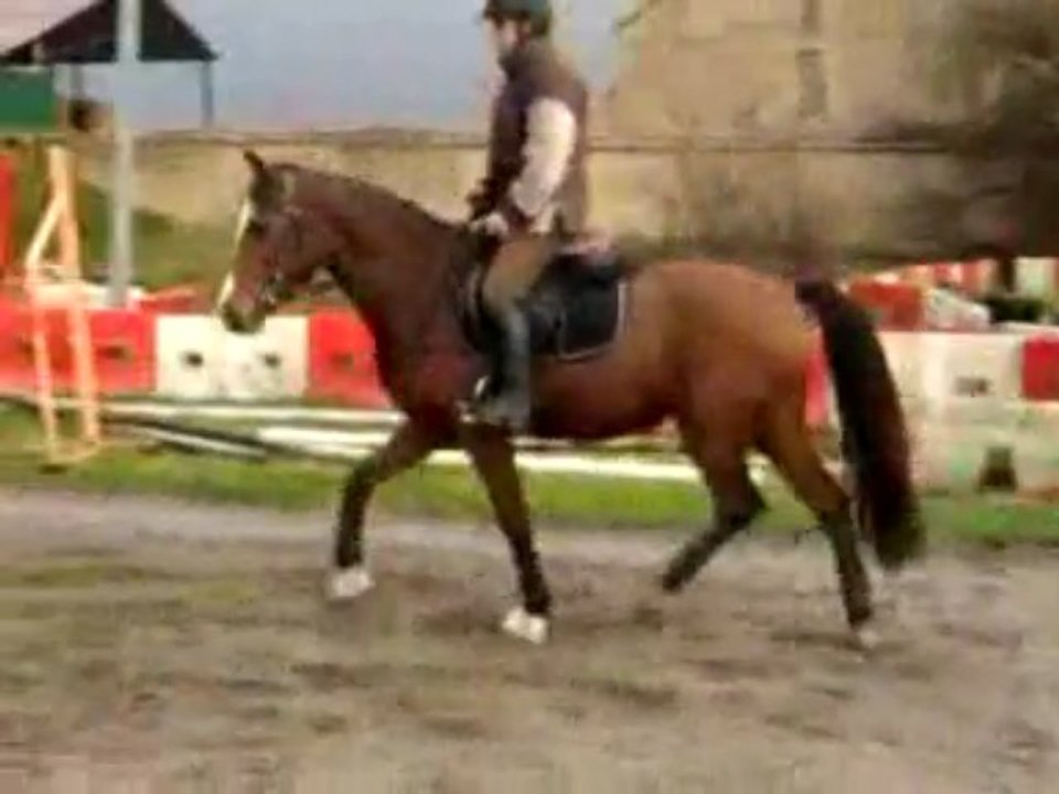 Indira trot avec Elo