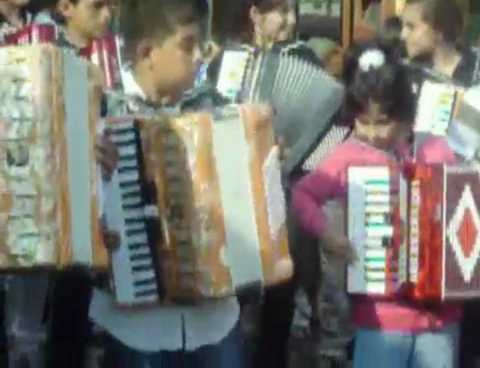 Barış için müzik okulu-Yedikule Hayvan Barınağı