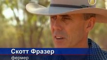 Кенгуру устраивают набеги на австралийские фермы