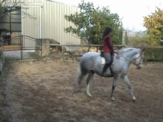 Maltosa montée au trot 30.10.09 pour YT