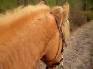 Pilou athéna moncé