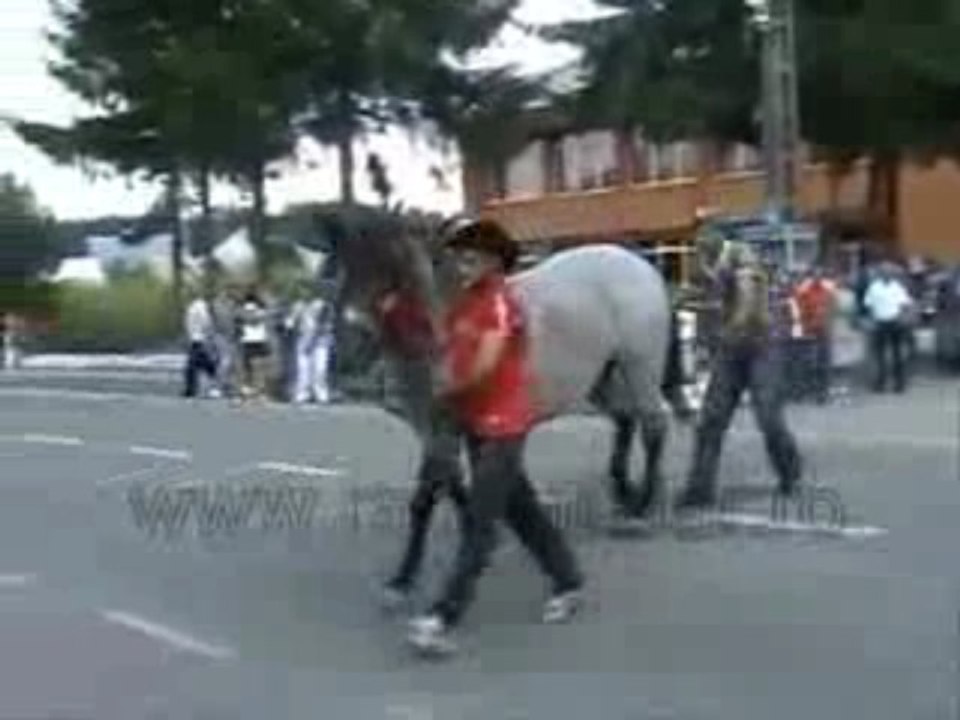 cuidado cavalo atraz