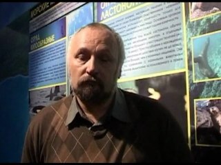 Climate Change - Russia Saving Seals