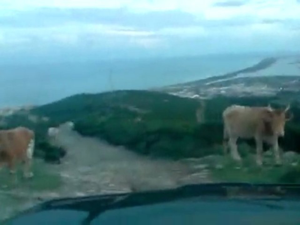 4x4 frontera