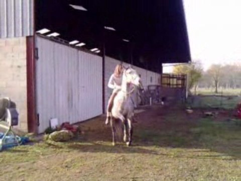 Tequieros le cheval de mon (L) et moi cabrer