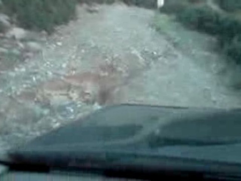 4x4 frontera à téghime