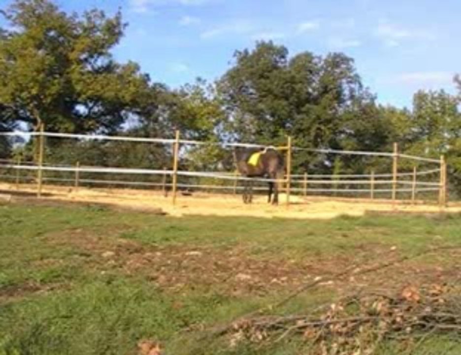 Découverte du rond de longe