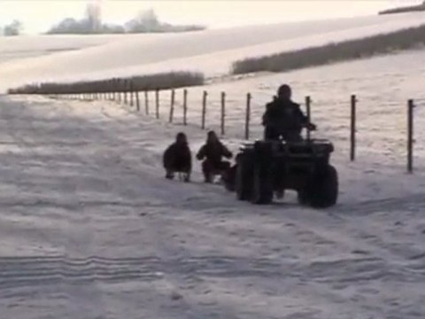 pur-sang-arabe , haras de croissart chevaux, neige 11-11-09