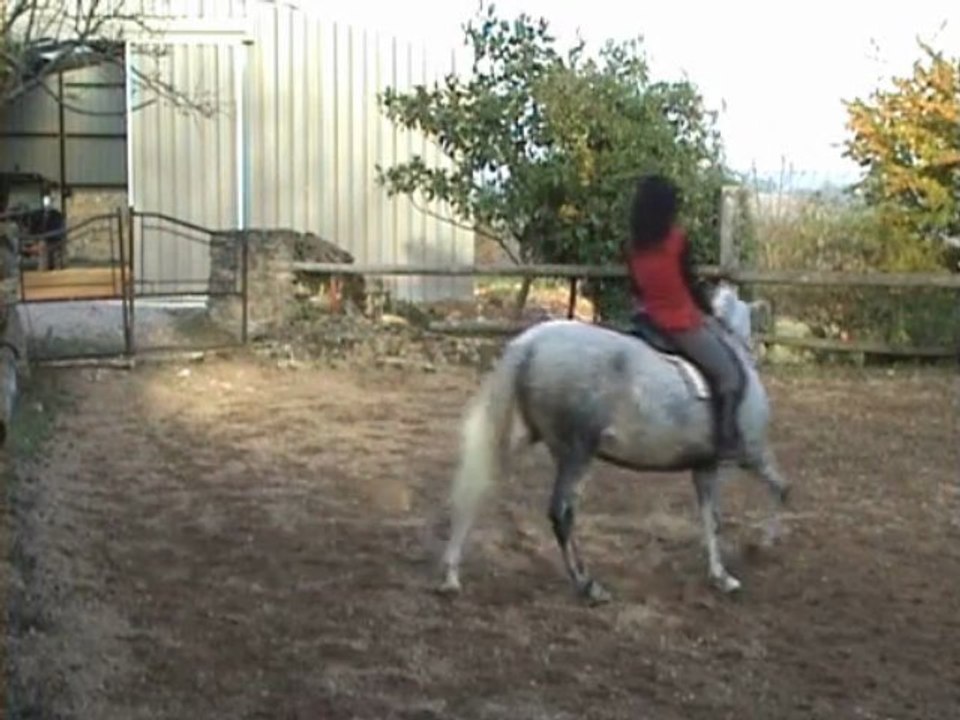 Maltosa montée trot fin 30.10.09 pour YT