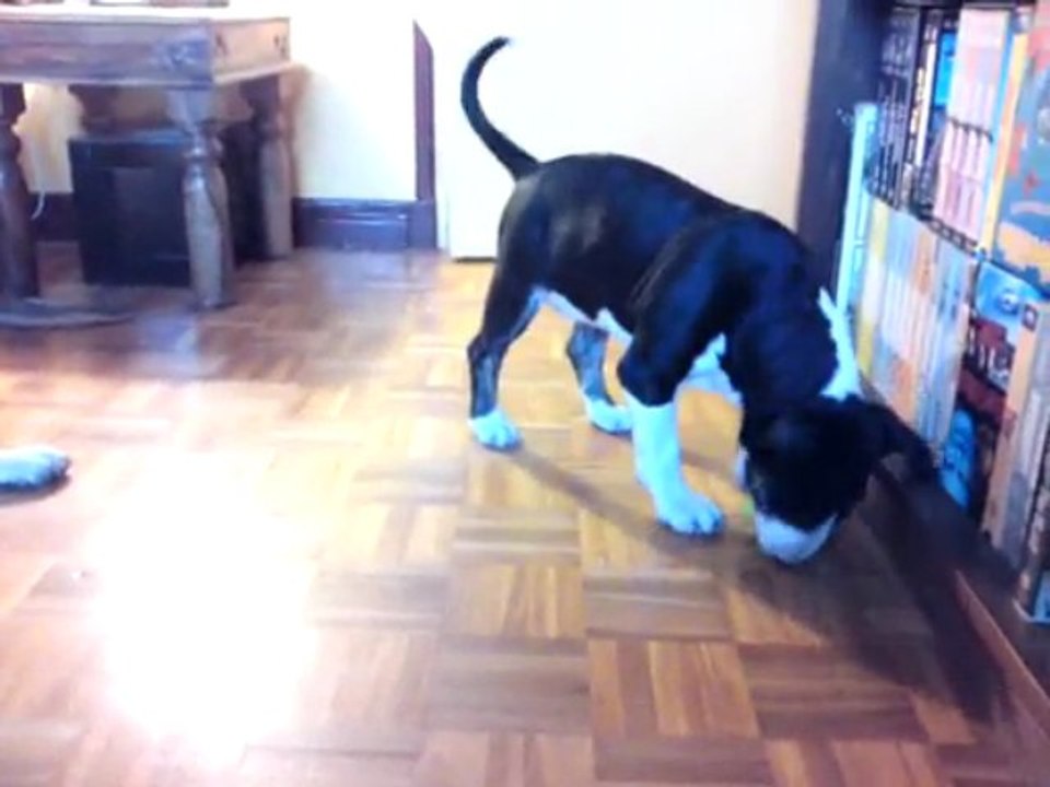 V190909_18.00[01]