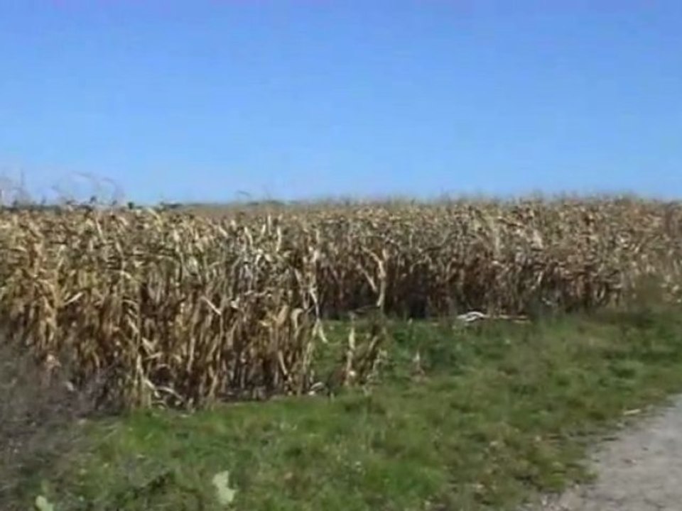 Der römerweg