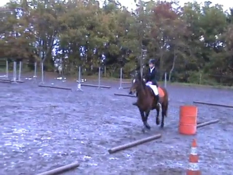 octavie dressage galop 5