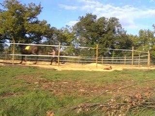 Galatéo dans le rond de longe !!!!