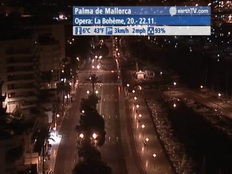 Berlin - Germany, Honolulu - USA, Auckland - New Zealand, Dubai - United Arab Emirates, Palma de Mallorca - Spain, London - United Kingdom, Amsterdam - Netherlands