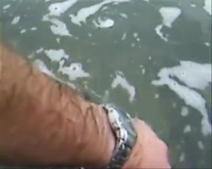 video pêche brochet