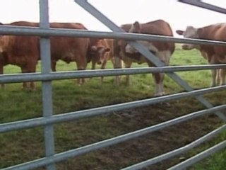 'We can save planet and eat meat'