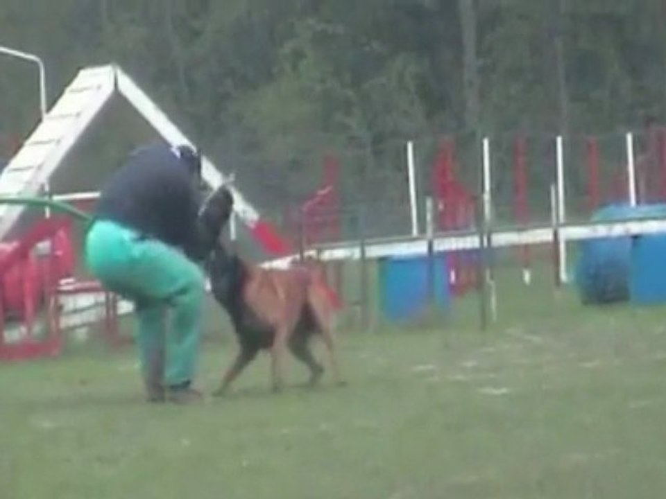 Vulcain 1st Selectif Group 3 Face Attack