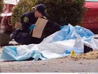 LA REZ -- Crime, Drogue, Armes, Pognon --