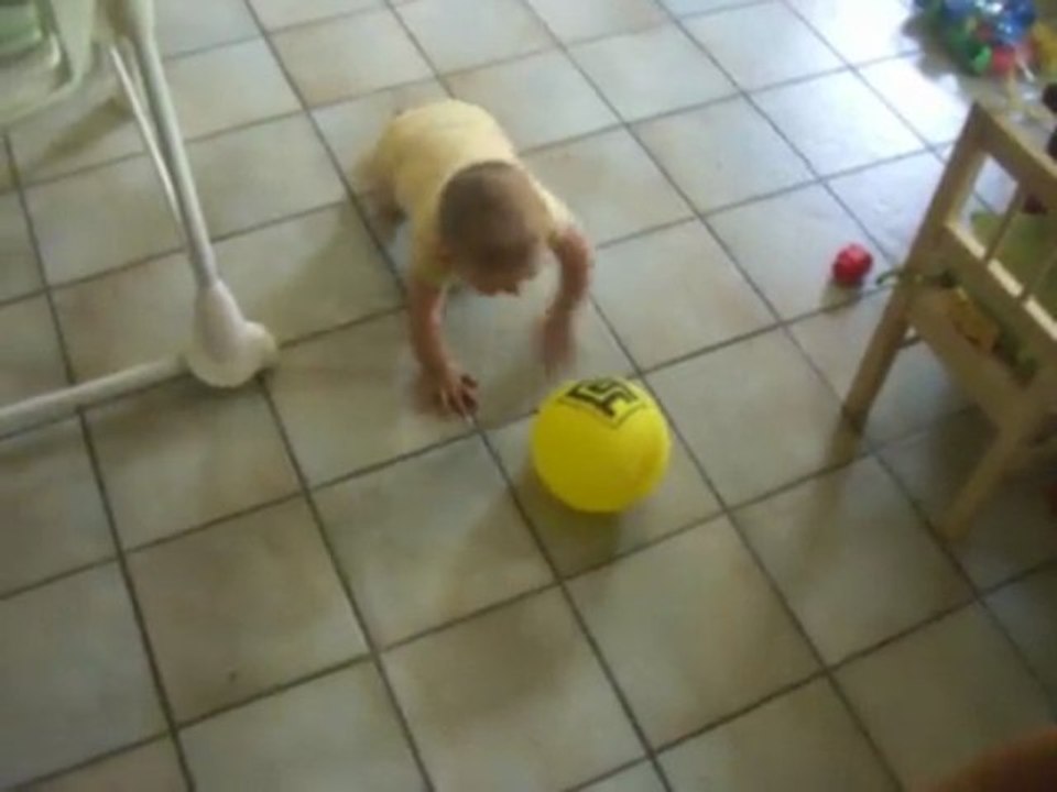 Le pro du 4 pattes !