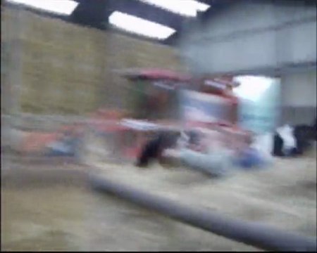 indiana longé et saut en liberté