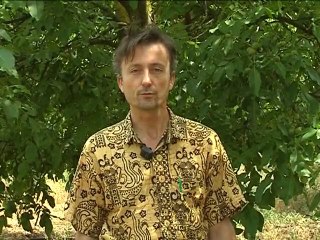 Construction de l’Europe et développement durable