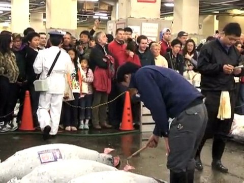 Japon: Tsukiji, premier marché aux poissons du monde