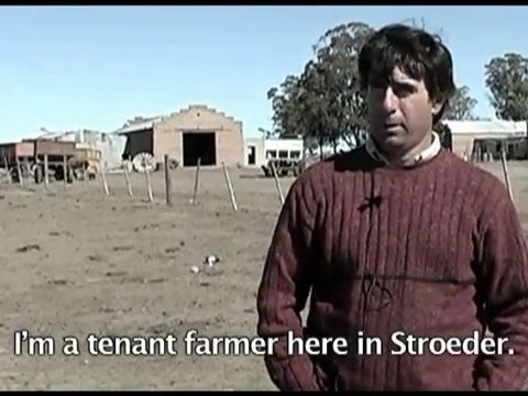 Climate Change - Argentina Cattle