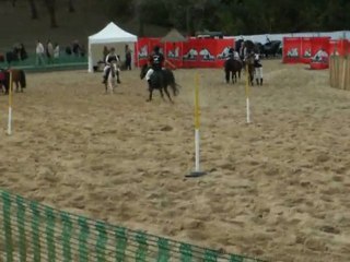 Animavia - A pied à cheval (2)