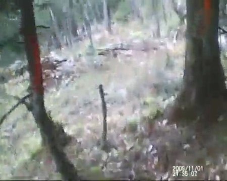 PISTE VTT PATATOR à VILLARD DE LANS