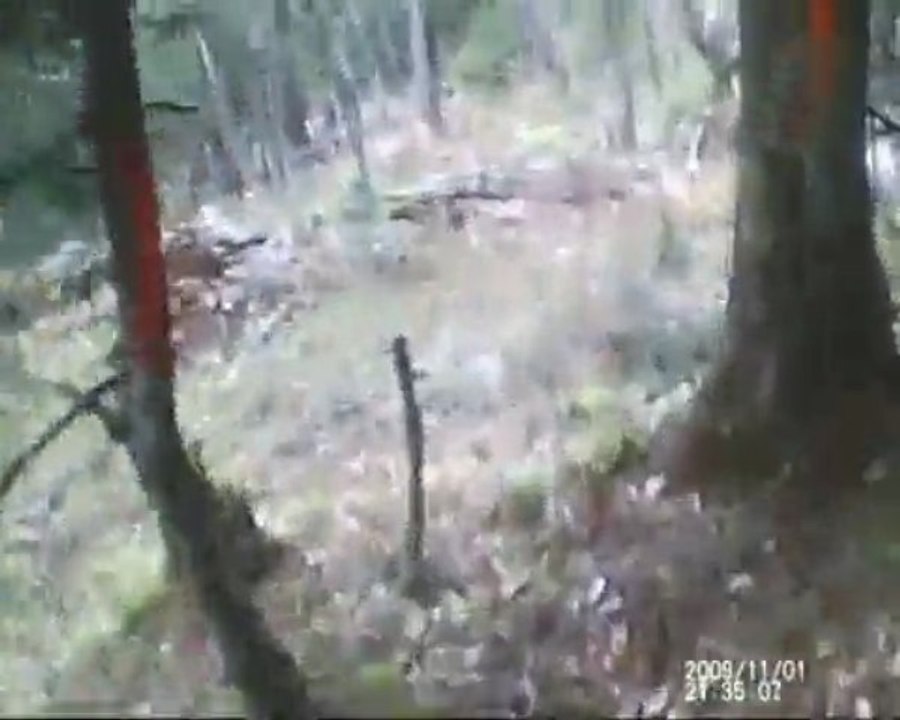 PISTE VTT PATATOR à VILLARD DE LANS