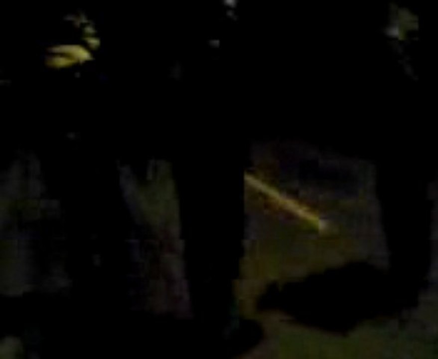 En route dans la maison de Vincent dall'