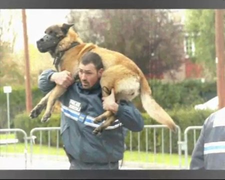 Carrefour Européen des Pm à Mons-En-Baroeul le 4/11/2009