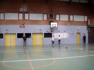 BGRC: Démo Hélicoptère RC électrique  KDS 450