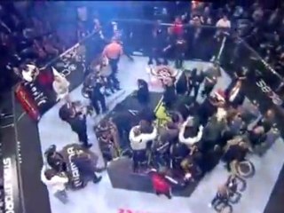 Fedor TKO Brett full Video