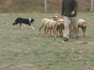 Sun sur une recherche à 100 mètres et conduite