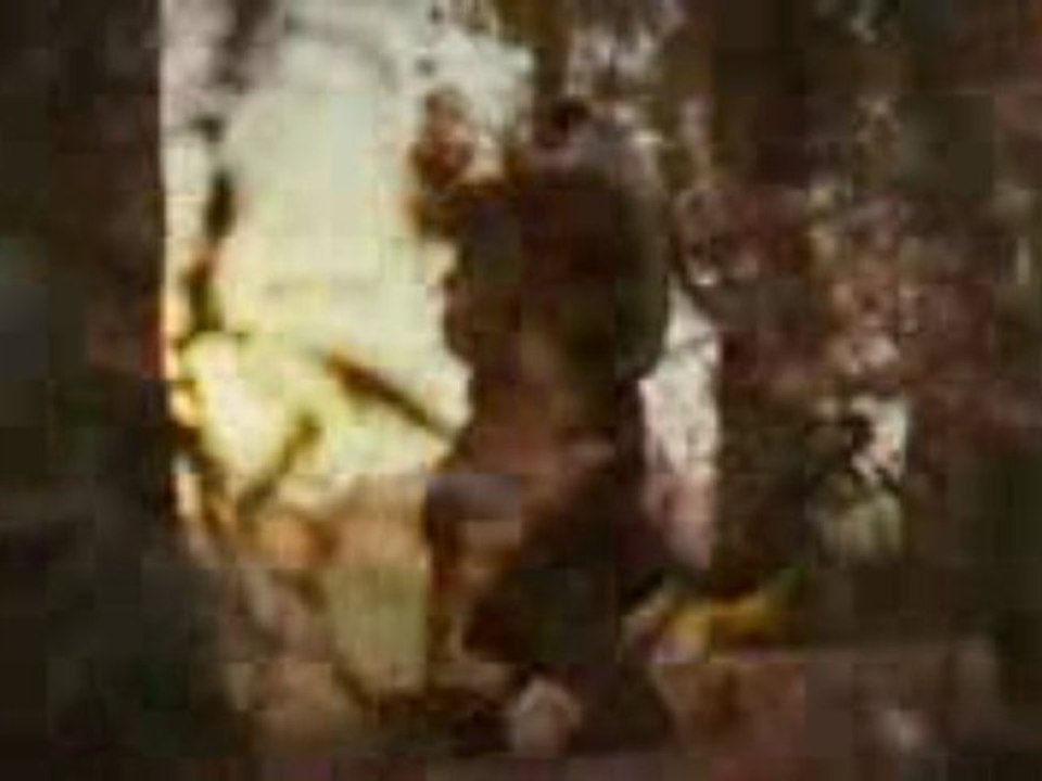 Where The Wild Things Are - TV Spot Owner