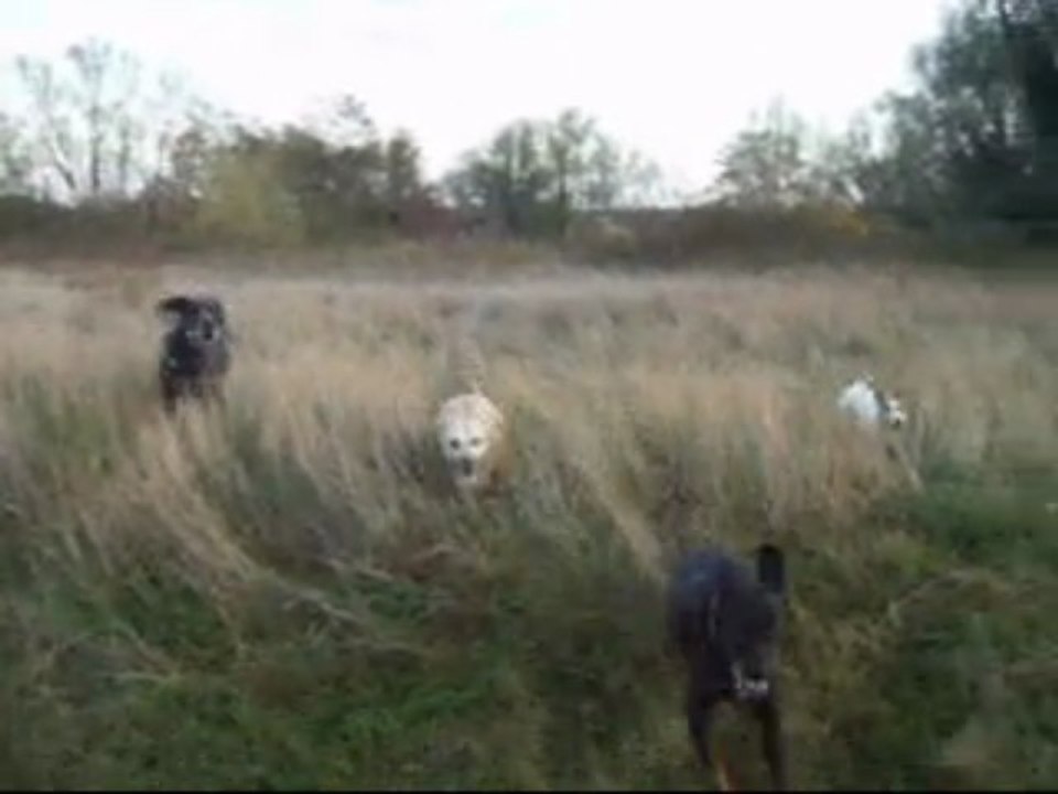 11.11.2009 version video