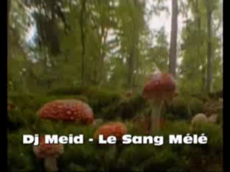 Clip Dj Meid - Sang Mélé By PsykoTivix