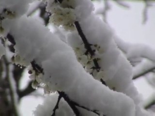 çamlıhemşin kar manzaraları