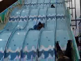 foire Lucille,Thomas et ange le 11/11/09 031