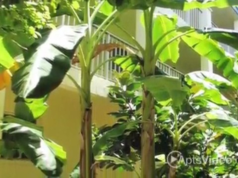 Gulf Gate Apartments in Sarasota, FL-ForRent.com