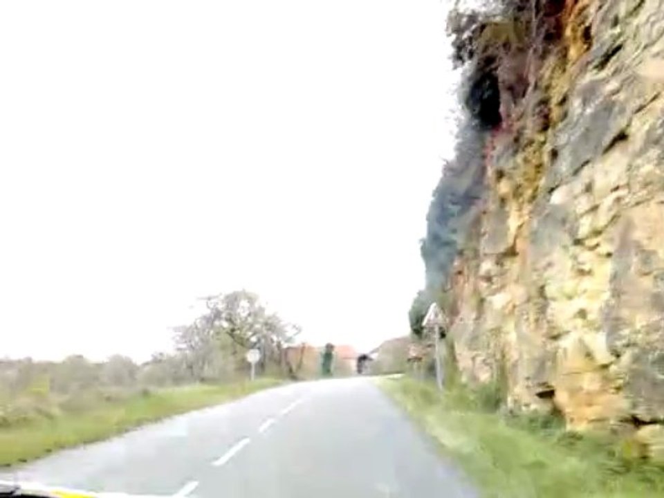 la cote de loubressac en charleston jaune et noir