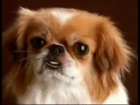 O Jak Bardzo Cie Kocham