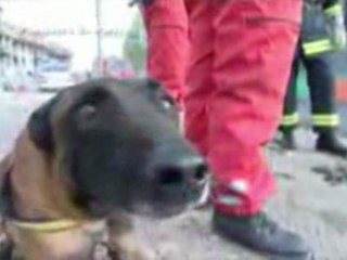 clip pompiers stemonimes